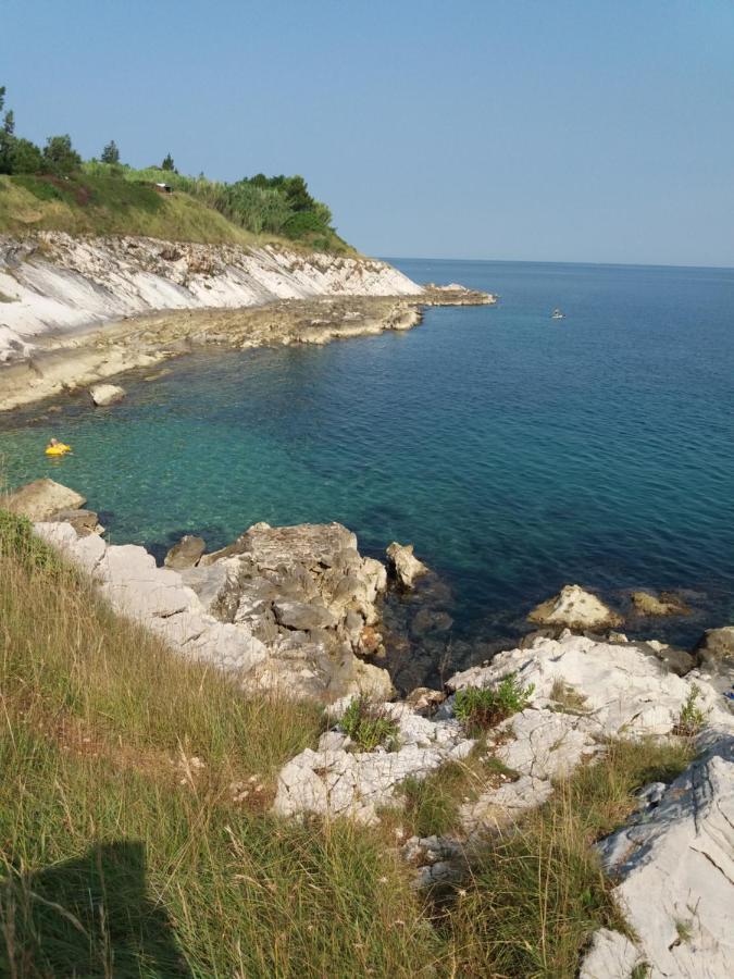 Apartman Dea Crveni Vrh Εξωτερικό φωτογραφία