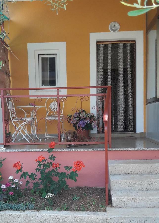 Apartman Dea Crveni Vrh Εξωτερικό φωτογραφία