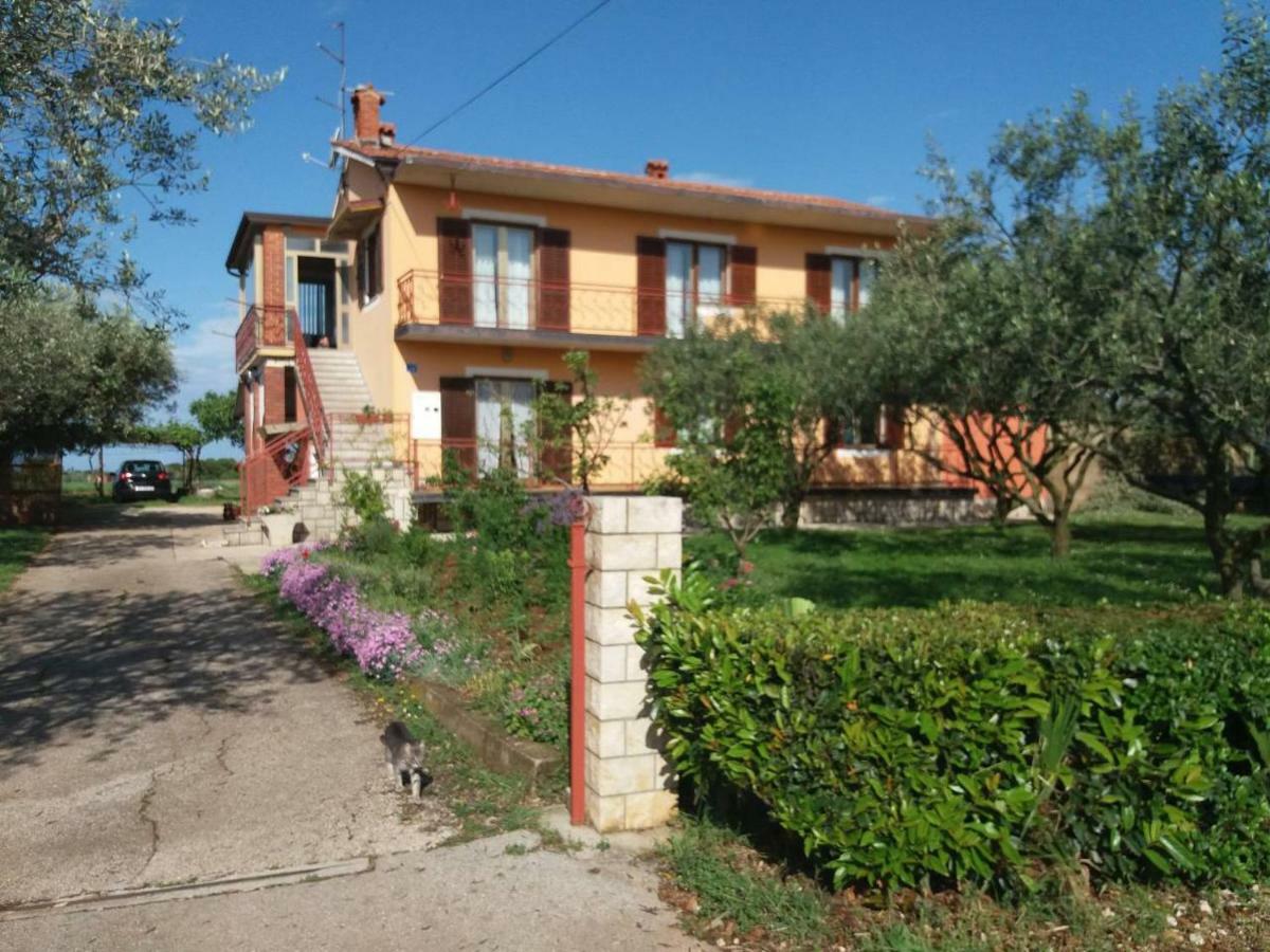 Apartman Dea Crveni Vrh Εξωτερικό φωτογραφία