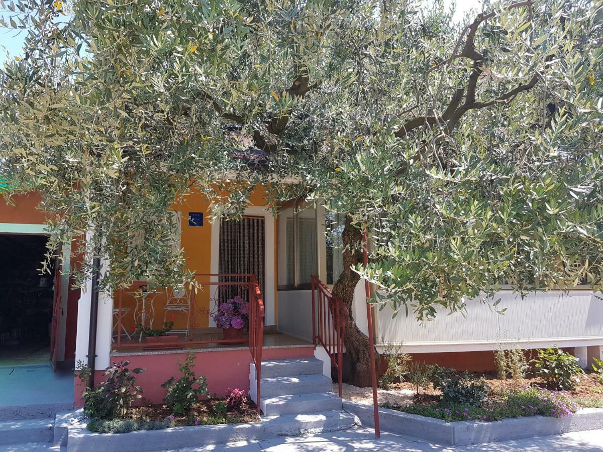 Apartman Dea Crveni Vrh Εξωτερικό φωτογραφία