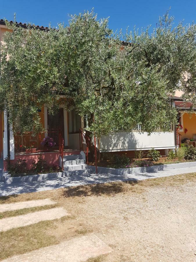 Apartman Dea Crveni Vrh Εξωτερικό φωτογραφία